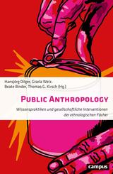 Public Anthropology