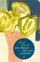 Der Mond &uuml;ber der Eisbahn