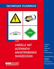 Unf&auml;lle mit alternativ angetriebenen Fahrzeugen