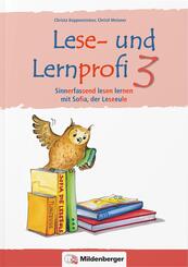 Lese- und Lernprofi 3 - Arbeitsheft - silbierte Ausgabe