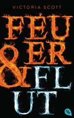 Feuer & Flut (eBook, ePUB)