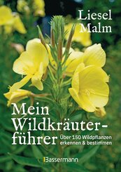 Mein Wildkräuterführer. Über 150 Wildpflanzen sammeln, erkennen & bestimmen. (eBook, ePUB)