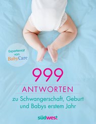 999 Antworten zu Schwangerschaft, Geburt und Babys erstem Jahr (eBook, ePUB)