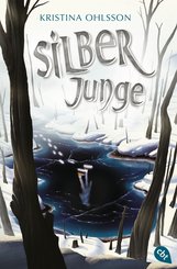 Silberjunge (eBook, ePUB)
