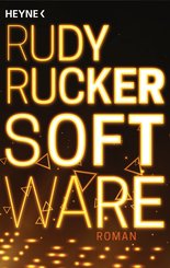Software (eBook, ePUB)