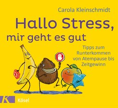Hallo Stress, mir geht es gut (eBook, ePUB)