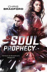 SOUL PROPHECY (eBook, ePUB)