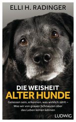 Die Weisheit alter Hunde (eBook, ePUB)