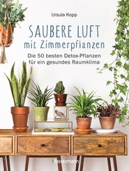 Saubere Luft mit Zimmerpflanzen (eBook, ePUB)