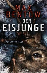 Der Eisjunge (eBook, ePUB)