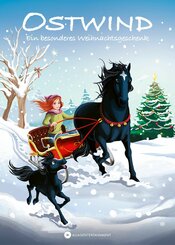 OSTWIND - Ein besonderes Weihnachtsgeschenk (eBook, ePUB)