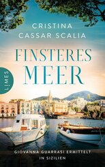 Finsteres Meer (eBook, ePUB)