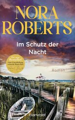 Im Schutz der Nacht (eBook, ePUB)
