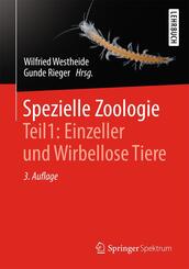 Einzeller und Wirbellose Tiere