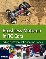 Brushless-Motoren in RC-Cars (eBook, PDF)
