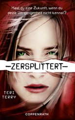 Zersplittert (eBook, ePUB)