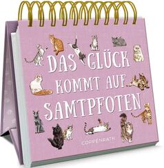 Das Glück kommt auf Samtpfoten