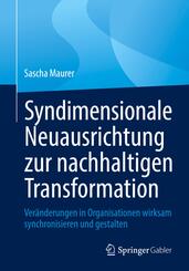 Syndimensionale Neuausrichtung zur nachhaltigen Transformation