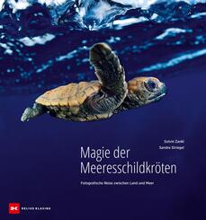 Magie der Meeresschildkr&ouml;ten