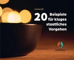 20 Beispiele f&uuml;r kluges staatliches Vorgehen