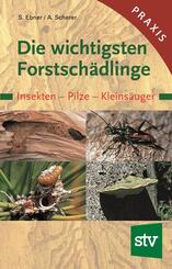 Die wichtigsten Forstsch&auml;dlinge