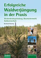 Erfolgreiche Waldverj&uuml;ngung