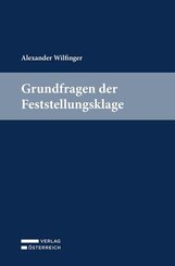 Grundfragen der Feststellungsklage
