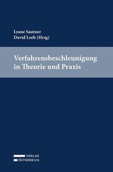 Verfahrensbeschleunigung in Theorie und Praxis