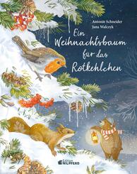 Ein Weihnachtsbaum f&uuml;r das Rotkehlchen