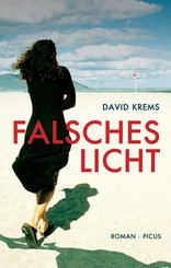Falsches Licht (eBook, ePUB)