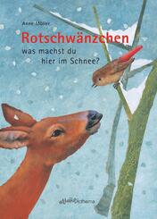 Rotschw&auml;nzchen was machst du hier im Schnee?