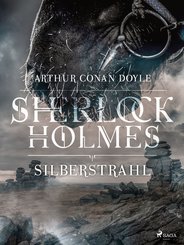 Silberstrahl (eBook, ePUB)