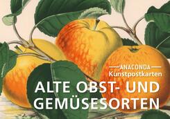 Postkarten-Set Alte Obst- und Gemüsesorten