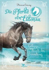 Die Pferde von Eldenau - Galopp durch die Brandung (eBook, ePUB)