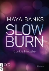 Slow Burn - Dunkle Hingabe (eBook, ePUB)