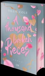 A Thousand Broken Pieces: Special Edition