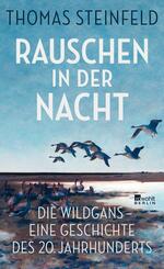 Rauschen in der Nacht