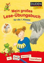 Mein gro&szlig;es Lese-&Uuml;bungsbuch f&uuml;r die 1. Klasse