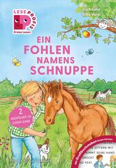 Leseprofis - GROSSBUCHSTABEN: EIN FOHLEN NAMENS SCHNUPPE, 1. Klasse
