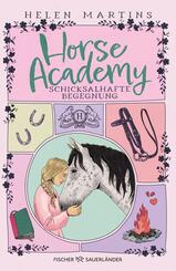 Horse Academy - Schicksalhafte Begegnung