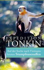 Expedition Tonkin (eBook, ePUB)