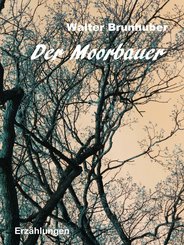 Der Moorbauer (eBook, ePUB)