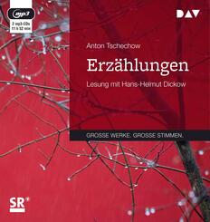 Erz&auml;hlungen,2 Audio-CD, 2 MP3