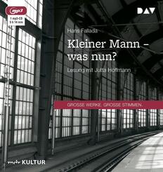 Kleiner Mann - was nun?,1 Audio-CD, 1 MP3