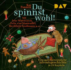Du spinnst wohl! Eine au&szlig;ergew&ouml;hnliche Adventsgeschichte in 24 Kapiteln,2 Audio-CD