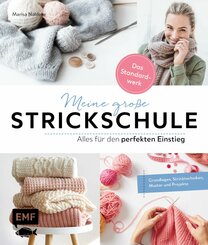 Meine große Strickschule - Alles für den perfekten Einstieg - Das Standardwerk (eBook, ePUB)