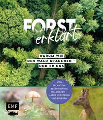 Forst erkl&auml;rt: Warum wir den Wald brauchen - und er uns