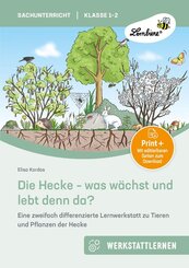 Die Hecke - was w&auml;chst und lebt denn da