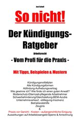 So nicht! Der K&uuml;ndigungs-Ratgeber Arbeitsrecht