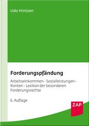 Forderungspf&auml;ndung
